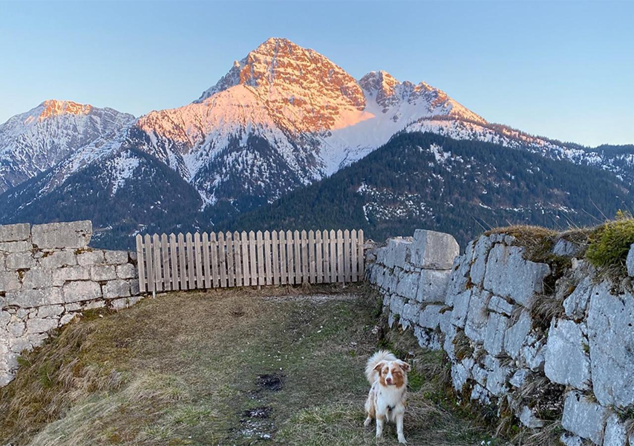 Jaegers Wohnung Zwischen Ehrenberg Und Neuschwanstein Reutte Zewnętrze zdjęcie